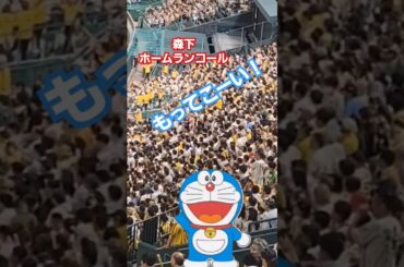 近くにドラえもんが居る！#ドラえもん #大山のぶ代 #阪神タイガース応援 #阪神応援
