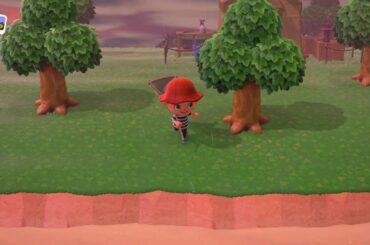 あつまれどうぶつのもり・ふうかてけい・離島くらし