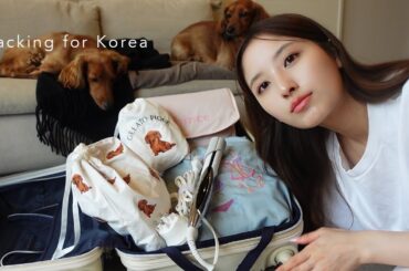 [パッキング] 2泊3日の韓国旅🇰🇷スーツケース&手荷物紹介！