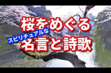 桜をめぐるスピリチュアルな名言と詩歌 Spiritual Quotes and Poems about Cherry blossoms