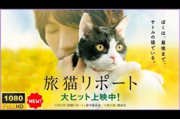 🐾👉🅷🅾🆃 【最高の日本映画】🐾👉🅷🅾🆃 『旅猫リポート』｜最後の旅に託した“ありがとう” 涙と優しさに包まれる感動作🚗🐱【フルHD】✅✅✅
