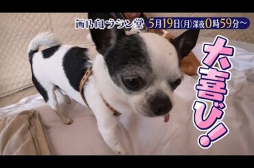 「西乃風ブラン堂」5月19日(月) 深夜 0:59 〜 深夜 1:29◆巨大なダムが目の前に!?　日本でここだけのグランピング体験◆植村あかり・西田汐里・広本瑠璃・三ツ廣政輝