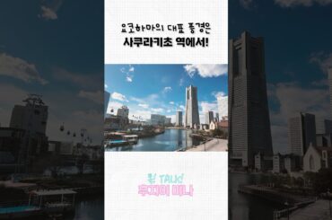 요코하마 대표 풍경🎡