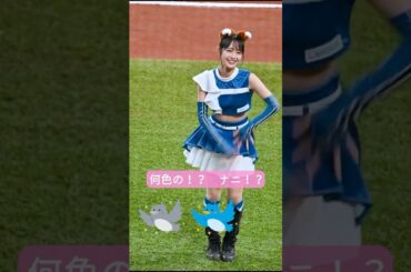 この可愛さみてたら今日も元気になれそうです！#ピタ止め #きつねダンス #可愛い