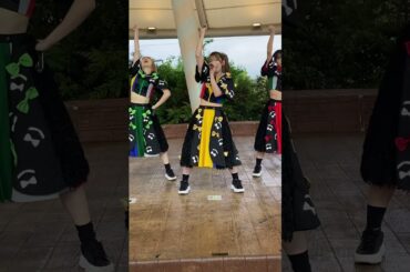 表情管理とダンスのキレがピカイチなアイドル #クロちゃん #水曜日のダウンタウン #豆柴の大群 #ハナエモンスター