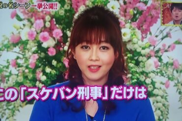 浅香唯　南野陽子　　スケバン刑事　　大西結花　中村由真　　