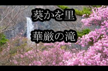 葵かを里　華厳の滝　カラオケ