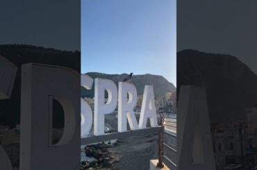 平和な朝🕊️☀️#shortsvideo #shortvideo #shorts #short #sicily #sicilia #シチリア#シチリア島 #イタリア #海#海外 #海外旅行 #ビーチ