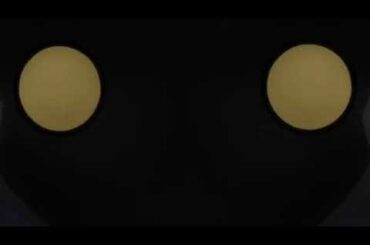 感謝してるよ。使い捨てにしては上出来だったね　[ヴェナリータ] [福圓美里] [魔法少女にあこがれて] [05-431]