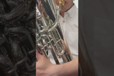 逢田梨香子「ブルーアワー」ユーフォニアムで吹いてみた（ワンコーラス）#逢田梨香子#ブルーアワー#ユーフォニアム