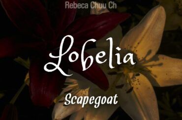 Scapegoat - Lobelia (letra en español/romaji/japonés)