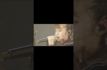 Four headbangers🤘🦊🤘 #babymetal #momometal #moametal #sumetal #yuimetal