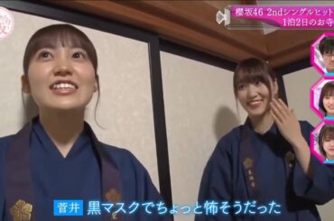 そこ曲がったら、櫻坂？『櫻坂46』【櫻坂46 2ndシングルヒット祈願  1泊2日のお寺修行】