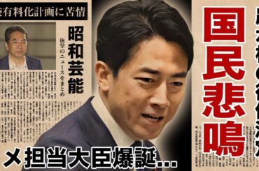 小泉進次郎が"コメ担当大臣"として農水相の後任に..."米袋有料化"計画に対する国民の悲鳴がヤバい！『滝川クリステル』と別居生活をしている真相...離婚間近の実態に驚愕！