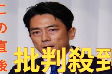 「お米３９９９円はダメ」小泉進次郎農相　桐谷美玲に曖昧斬りこまれる　石破首相「３千円台」辞任かけ公約も→「達成と言えない」　日テレ生出演