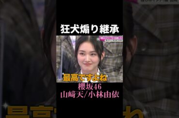 【櫻坂46】ライブ煽りの継承 #shorts