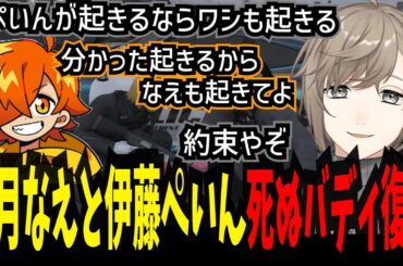 【ストグラ】文月なえ&伊藤ぺいんの死ぬバディ1年ぶり復活【叶/ストグラ警察/にじさんじ切り抜き】