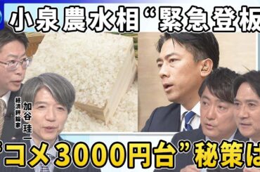 【深層NEWS】石破首相コメ価格「3000円台でなければならない」▽物価高対策で「消費税減税」どうなる？参院選の争点に▽“緊急登板”小泉農水大臣「スピード重視」…備蓄米の入札中止「随意契約」へ効果は