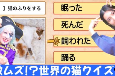 【検証】猫ガチ勢と地球儀ガチ勢なら『各国の猫に関することわざ』めちゃくちゃ分かる？