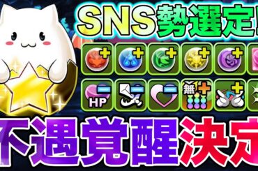 【パズドラ】SNS勢が選んだ！とある覚醒スキルのせいで強化が不遇だったので、不遇な覚醒スキルを決めたらあまりにも意外な結果すぎたwwwww 【SNS勢シリーズ】