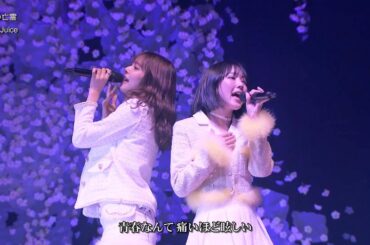 歌詞付 Juice=Juice「初恋の亡霊」(ひなフェス 2025) 2025-0329