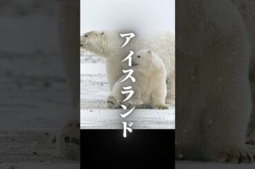 〜氷と炎の国〜　　#アイスランド #平和 #滝 #オーロラ #綺麗 #景色 #海外 #ヨーロッパ #bgm #曲 #海 #ショート動画 #ひまつぶし #かっこいい