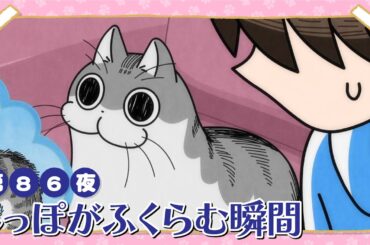 アニメ『夜は猫といっしょ』第86夜「しっぽがふくらむ瞬間」