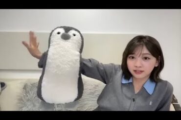 富田鈴花   日向坂46 SHOWROOM配信 2025年05月26日