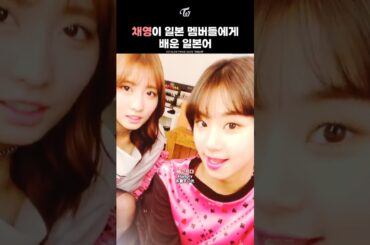 [TWICE] They Taught CHAEYOUNG Well
