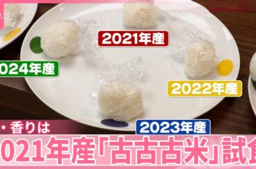 【コメ】2021年産「古古古米」を試食  味・香りは？  備蓄米の予約販売開始、即売り切れも
