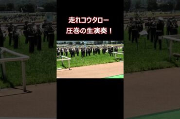 【高音質】走れコウタロー 陸上自衛隊中央音楽隊による圧巻の生演奏！#走れウマ娘 #ウマ娘 #shorts