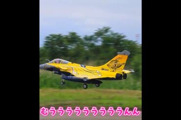 観客の前で着陸するRafale C #ラジコン飛行機