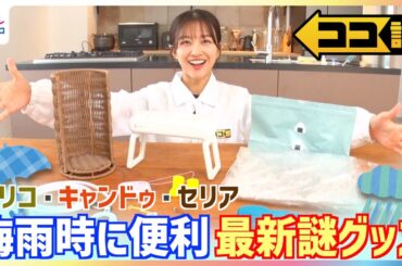 スリコ・キャンドゥ・セリアからも続々登場！部屋干し・湿気対策にも◎傘の使い勝手がグンとUP梅雨時に便利な最新謎グッズを原田葵アナが紹介【ココ調】