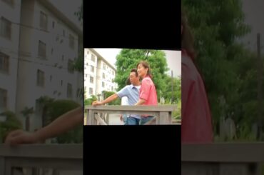 大モヤさま　大江さん抜いて1