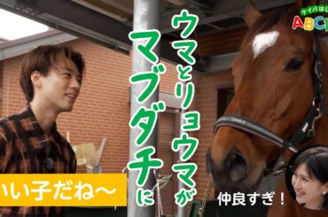 【竹内涼真もメロメロ】トレセン出張授業で馬との触れ合い！貴重な装蹄見学も！【ケイバはじめてABC講座#2】 | JRA FUN