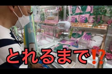 【柴犬飼い主55歳】柴犬留守番まかせ、担々麺で調子に乗ったハゲ、クレーンゲームで撃沈する。