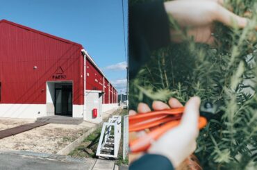 「日本一コスメビジネスがしやすい街」を目指す、九州屈指のビューティ県とは？ - WWDJAPAN