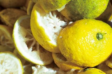 【SHIRO】LIMITED SKINCARE 旬シリーズ ゆず 2024