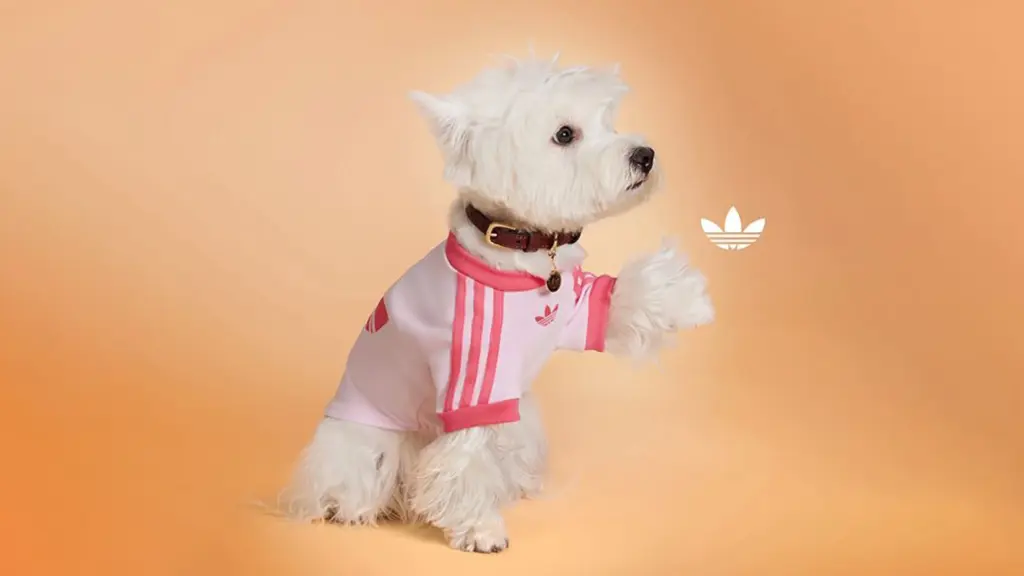 アバター画像