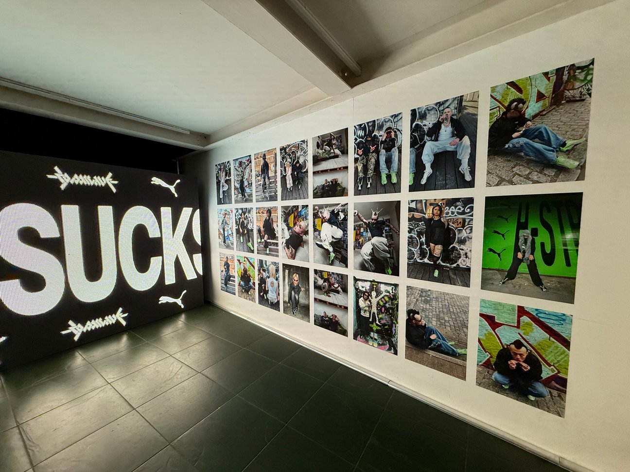 壁に展示された写真作品