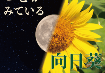 石川 正敏、「つきがみている／向日葵」を配信開始｜THE MAGAZINE