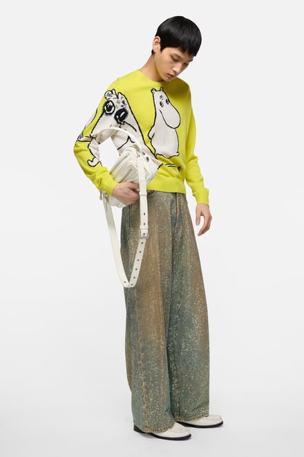 ヴィジュアル画像