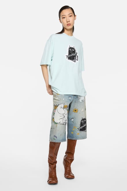 ヴィジュアル画像