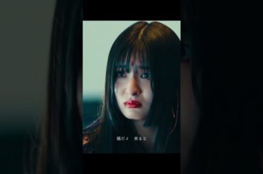 #吉川愛 #movie #fypシ゚ #tiktok #shorts