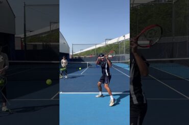 美しさに見惚れる、芸術的スライス#shorts