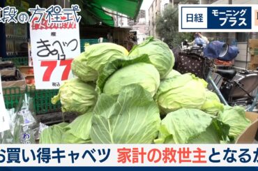 お買い得キャベツ　家計の救世主となるのか【日経モープラFT】