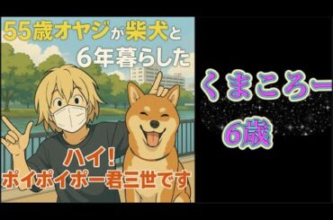 【柴犬飼い主55歳】55歳オヤジと柴犬、6年の絆