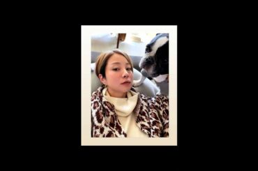 稲本潤一の妻田中美保が話題に！