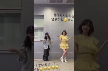 元HKT48 矢吹奈子 元AKB48 本田仁美「間違えた！すいません！」可愛すぎる #saymyname #izone