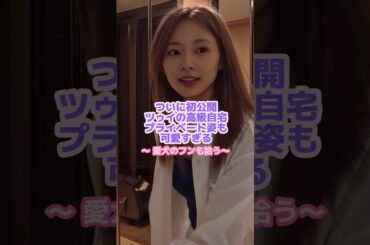 ツウィが日本の海苔巻きを作る🍣🇯🇵#twice #ツウィ #kpop